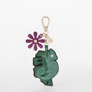Chameleon Hangoff
